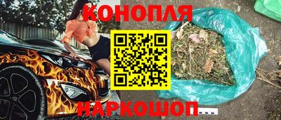 сатива Малгобек