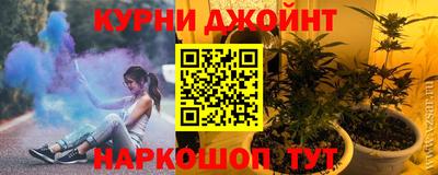сатива Малгобек